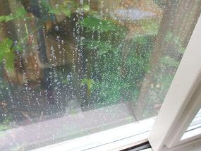 condensation on glass of window