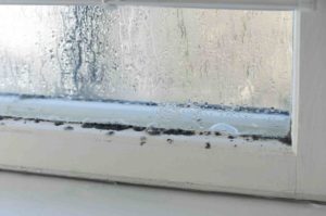 condensation and mold in window