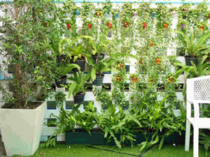 vertical garden