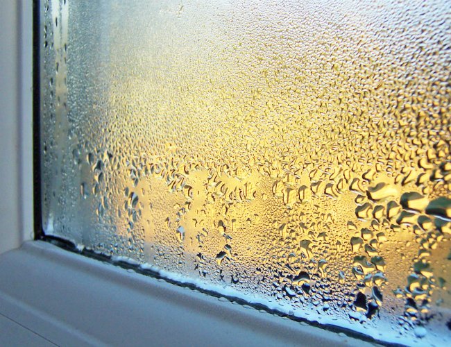 When humidity and moisture combine, water droplets stick to cool surfaces, like glass.